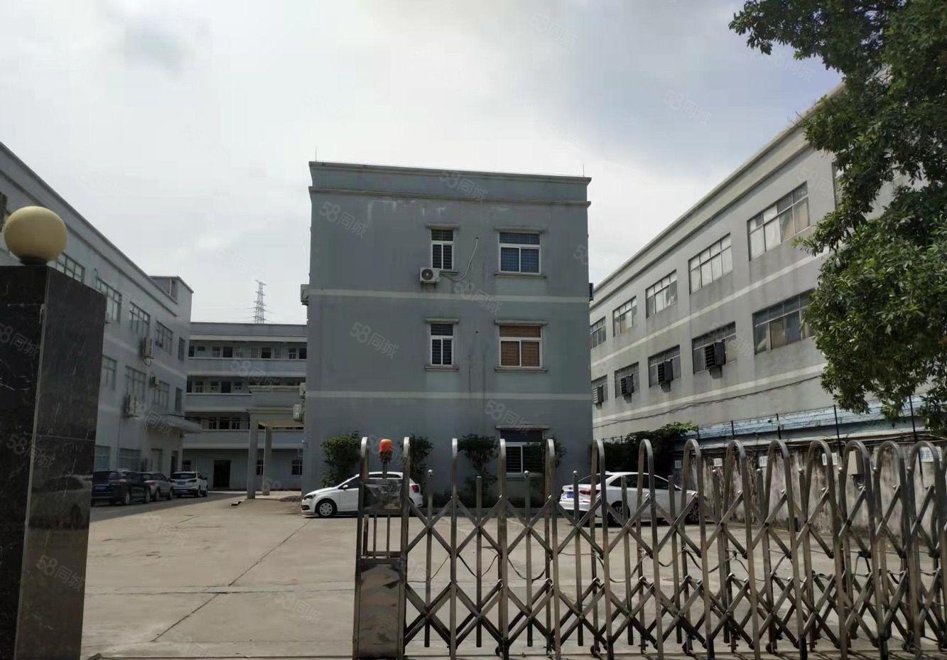 光明田寮楼上2000平方厂房招租原房东大型园区形象好