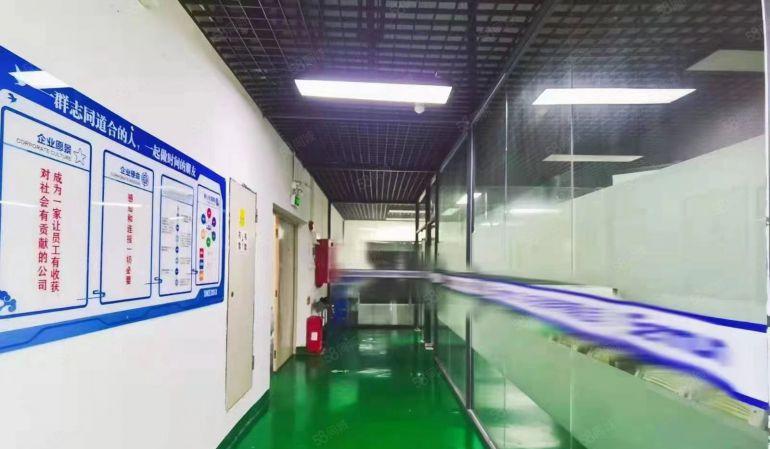 公明原房东独院厂房现成装修1500平方适合电子，LED，设备