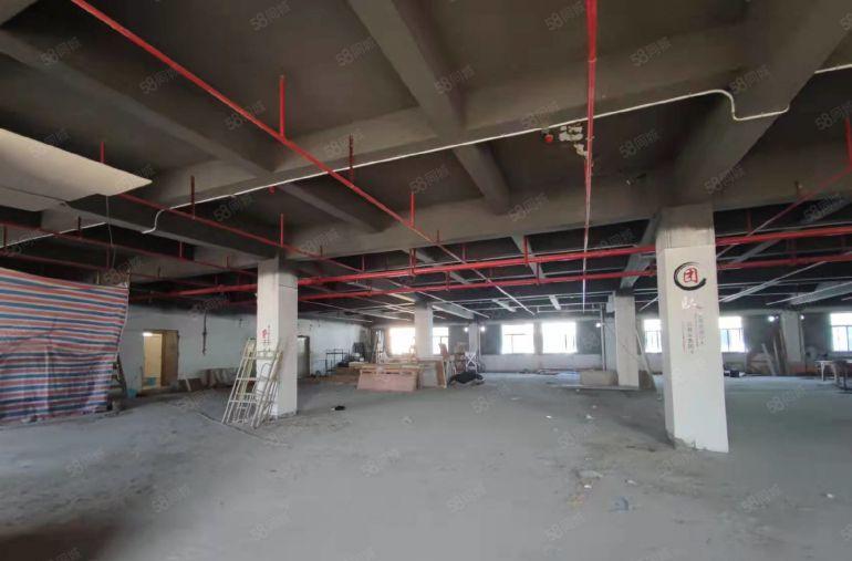 光明一楼800平方大小分租带消防喷淋红本厂房仓库出租空地超大