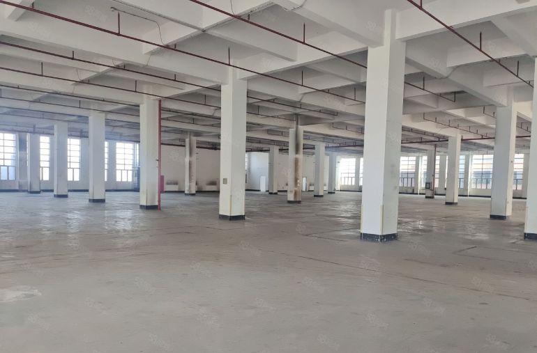 光明南光塘明出口红本厂房出租，可分租