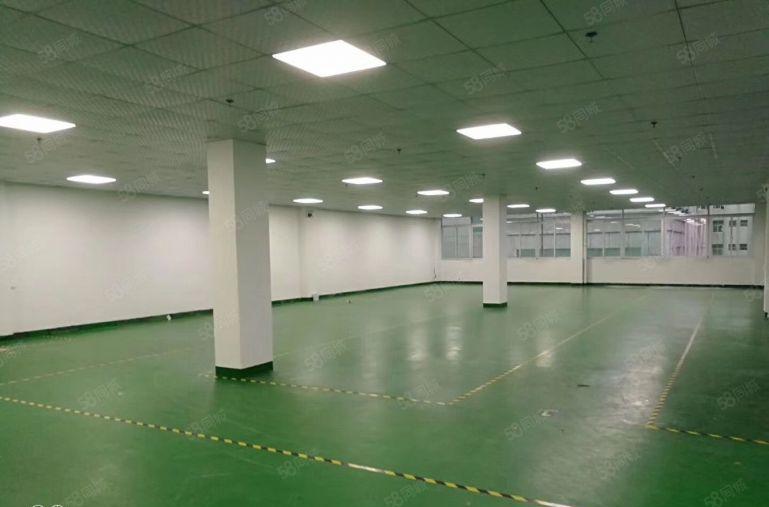 光明公明（小面积500平方）精装修 生产 办公 仓库水电齐全