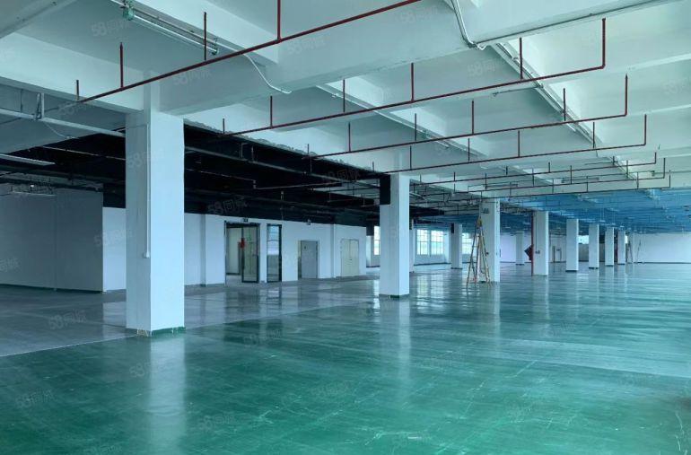 公明上村重工业厂房3600平带消防喷淋可分400平园区已电改