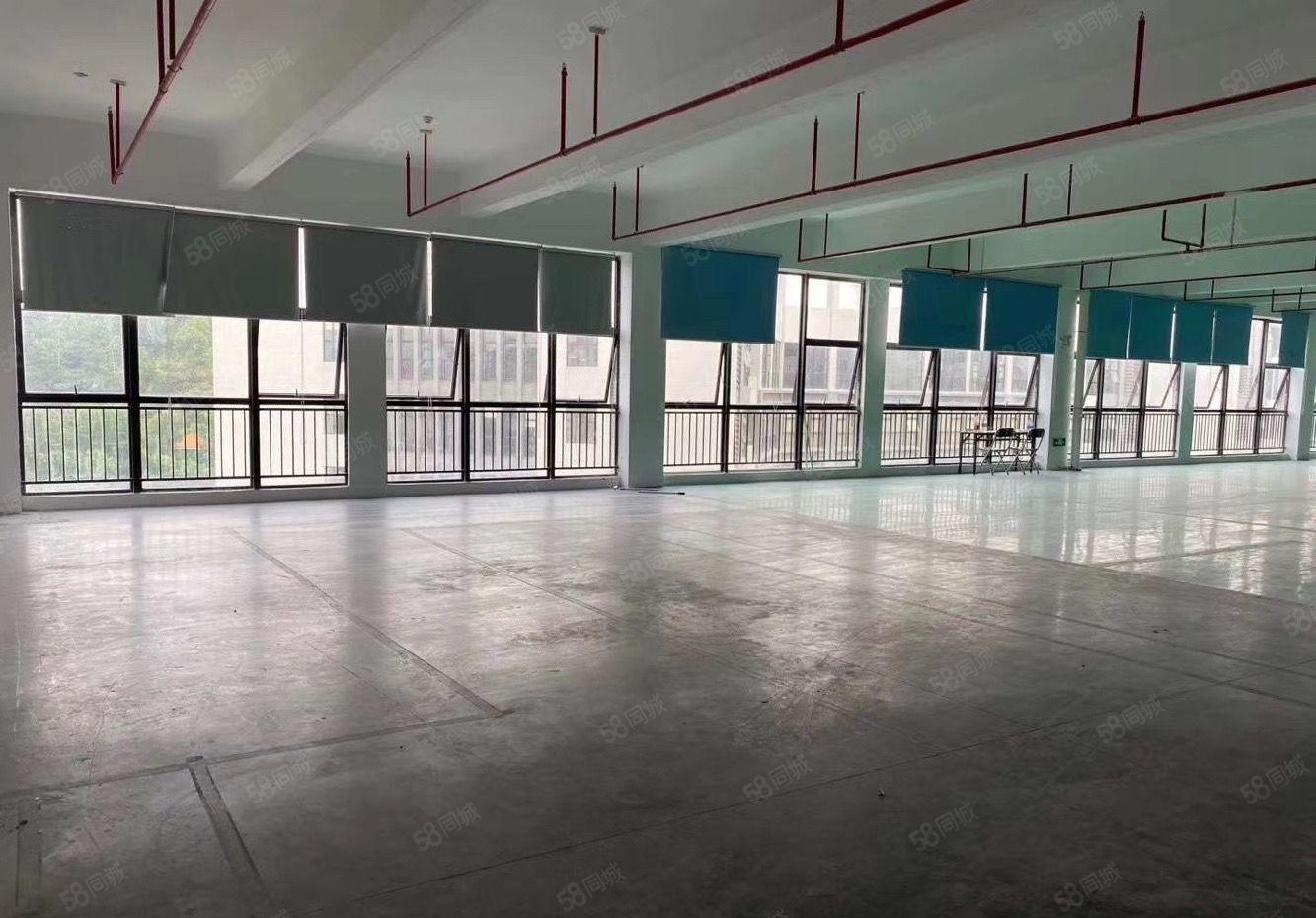 项目直租（带装修600平方起租）可分租