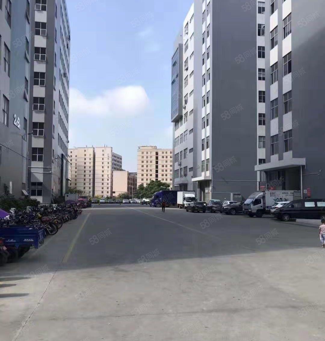 光明田寮南光高速出口整层面积9800平米（可分租）