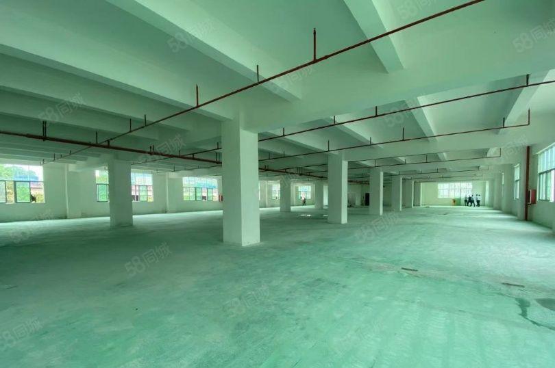 可大小分租！光明甲子塘高薪科技园区4万平精装修独院厂房出租