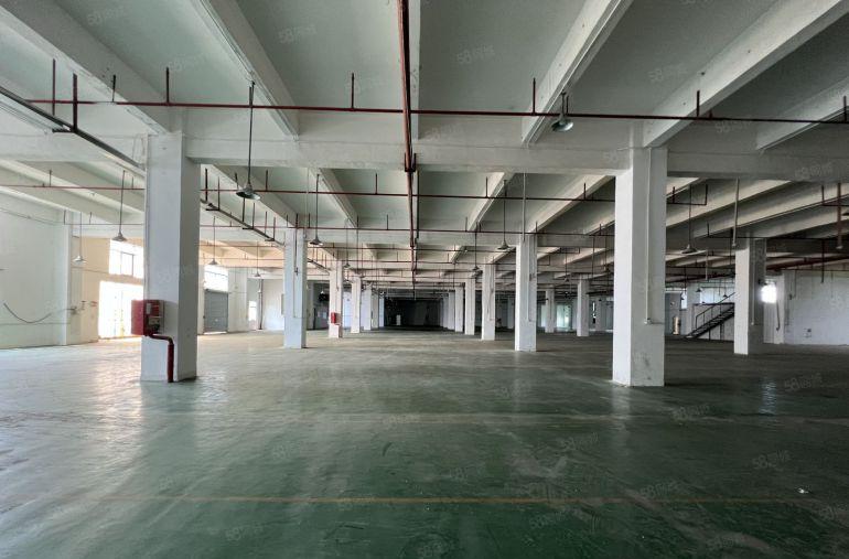 光明一二楼红本厂房各2600平出租带卸货台精装修办公室可分租