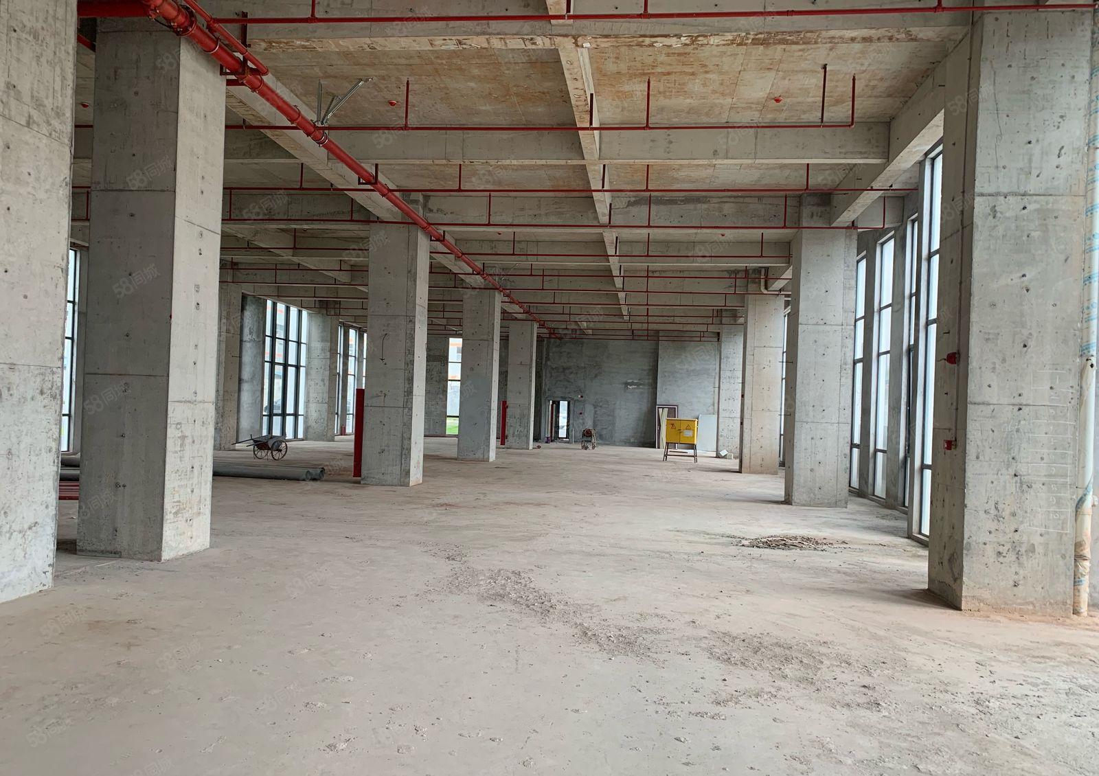 项目直租（带装修1500平方起）出租可分租