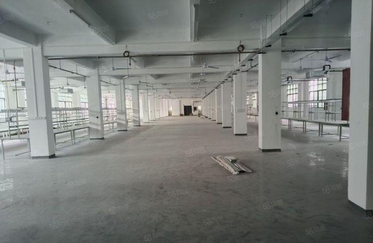 光明原房东独院出租5000平带装修可分租低价厂房出租仓出租