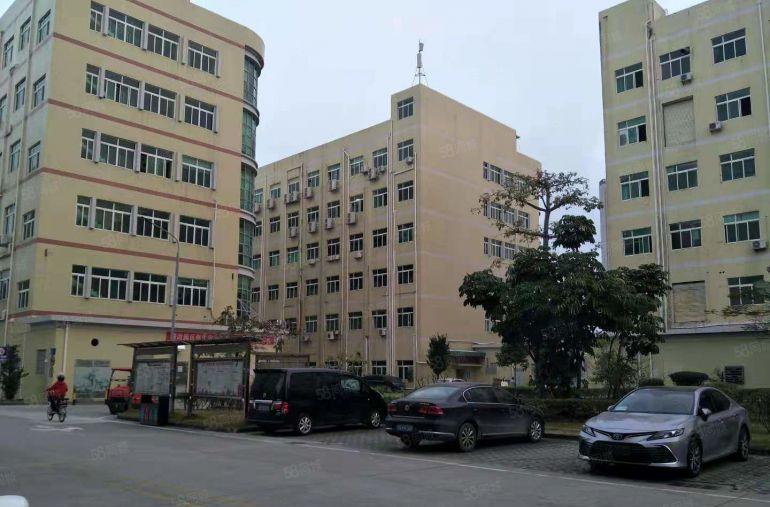 光明松白路边原房东自建红本厂房3万平方大小500平方起分租