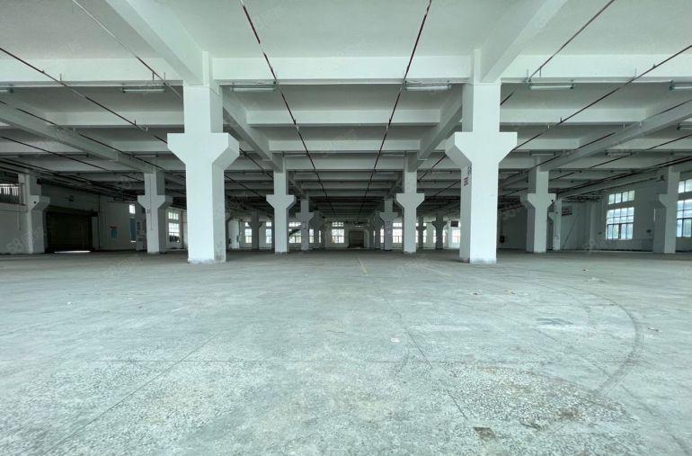 光明合水口独院厂房出租 100平起分租园区空地超大