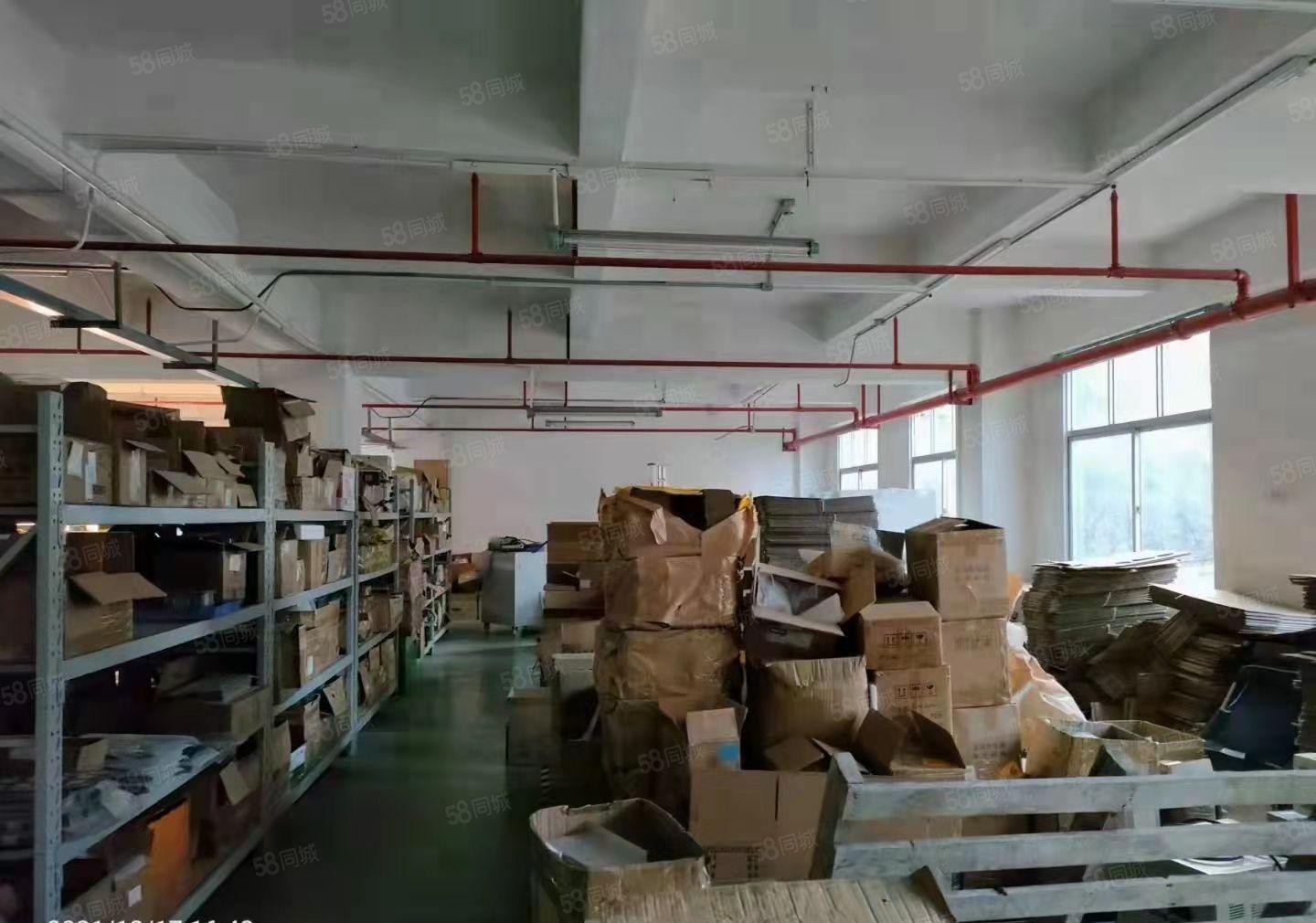 公明靠石岩（楼上800平带装修厂房出租，层高4.5米）好招工