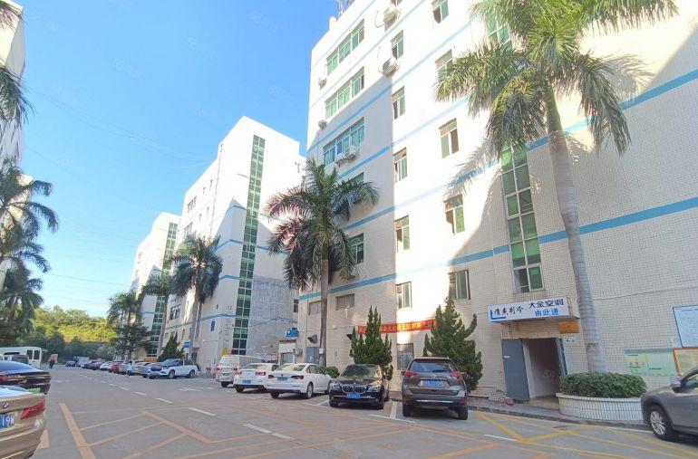 光明电子厂出租200平起分原房东带红本一楼厂房仓库出租电商园