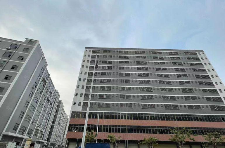 （公明楼村原房东厂房）1.56万平单层2600，分1300平