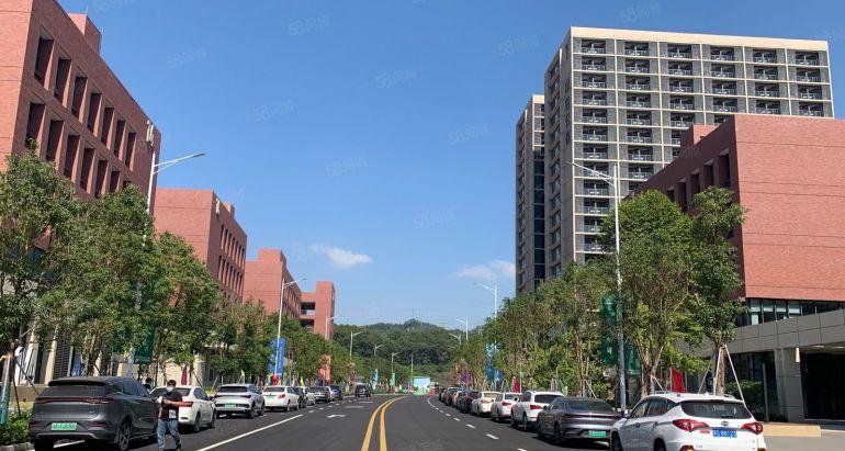 带租金补贴光明房东直租松白路边无公摊红本花园厂房400平起租