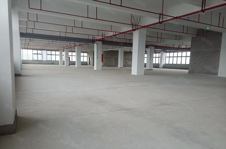 长训地铁口高新研发厂房1000至8000平送花园可申请补贴