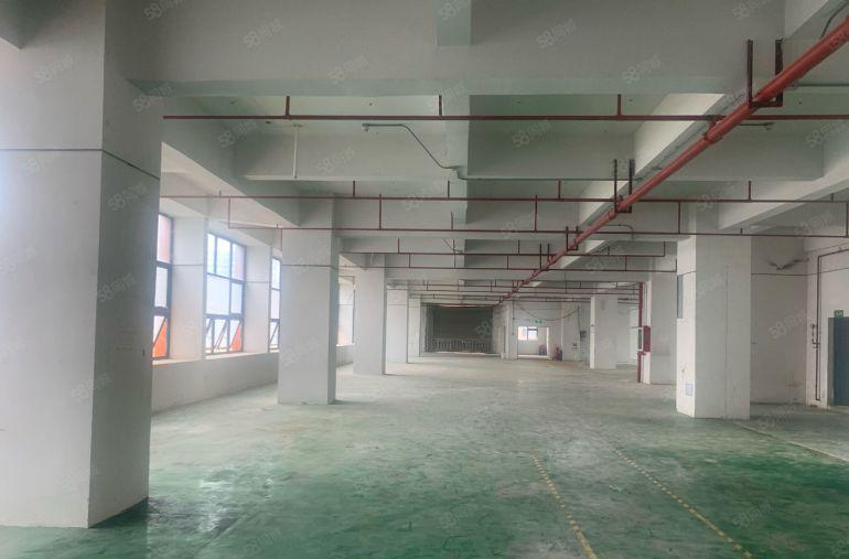 光明区公明上村原房东独门独院三层共4500平厂房出租