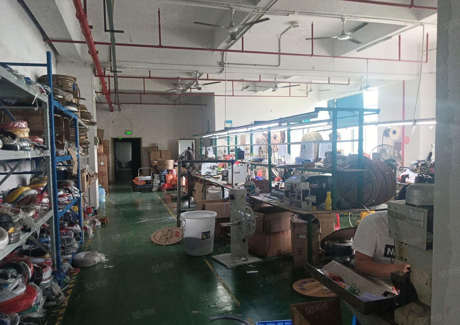 公明光明大道边上新出厂房独门独院13层6600平方交通便利