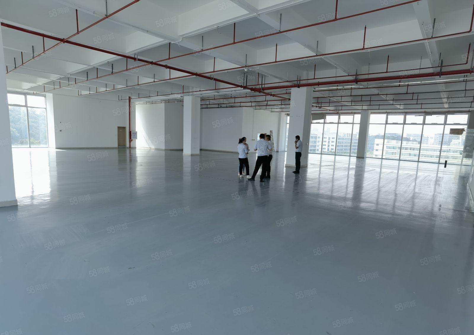 光明高新园区33万平方政府补贴厂房出租300平起分租