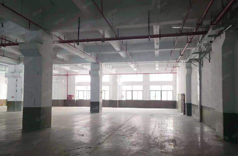 公明上村标准一楼厂房3600平可分1000平适合五金，SMT