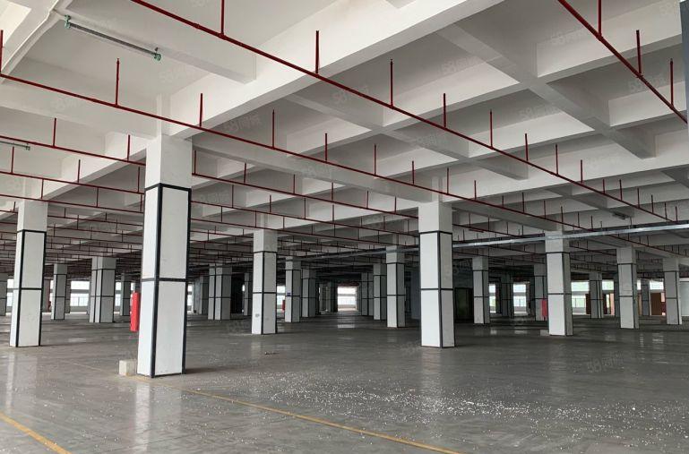 租金补贴20元光明松白路边花园厂房出租1000平起无公摊可分