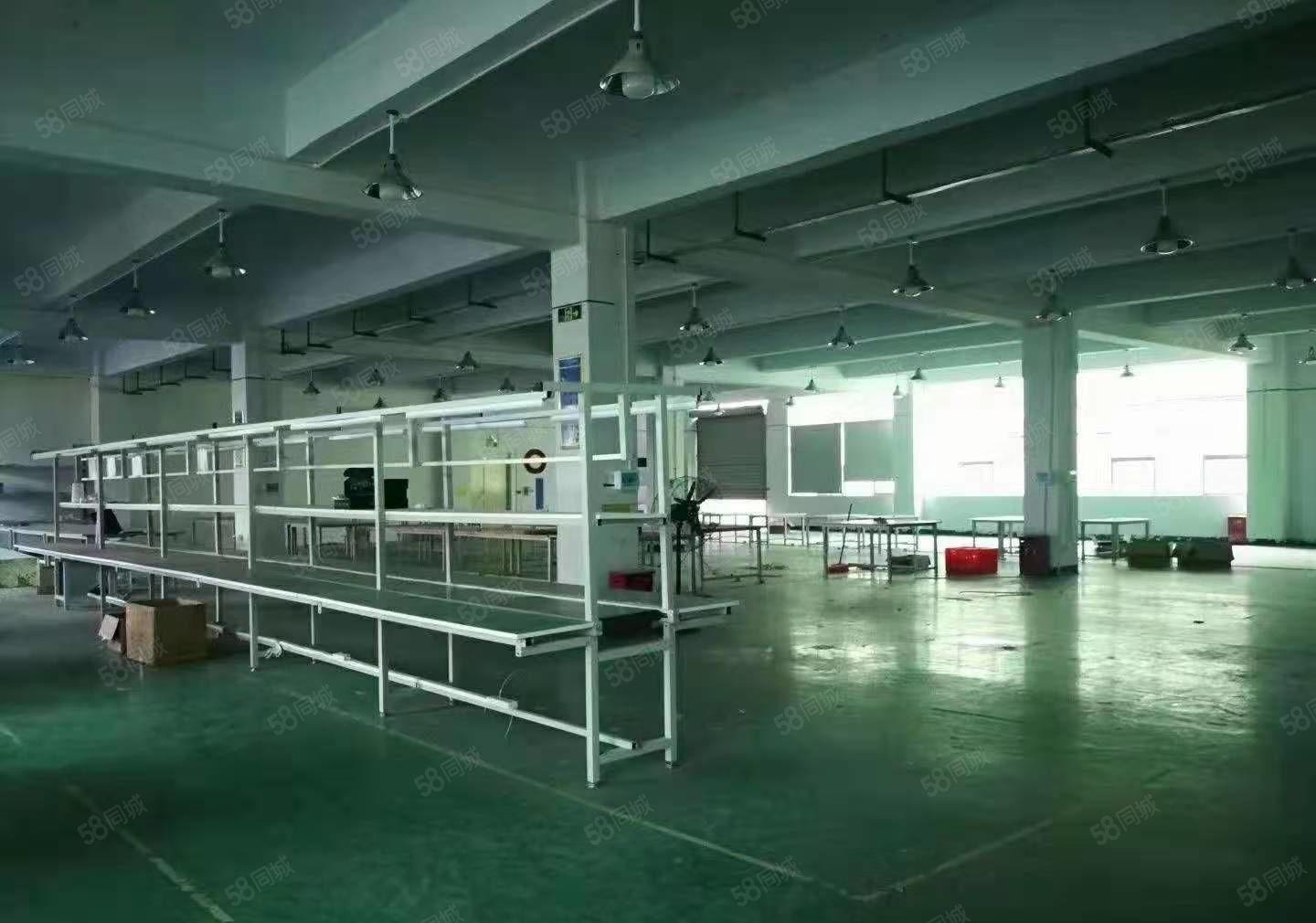 光明楼上950平（专线，不停电，不限电，重工业厂房出租）公明