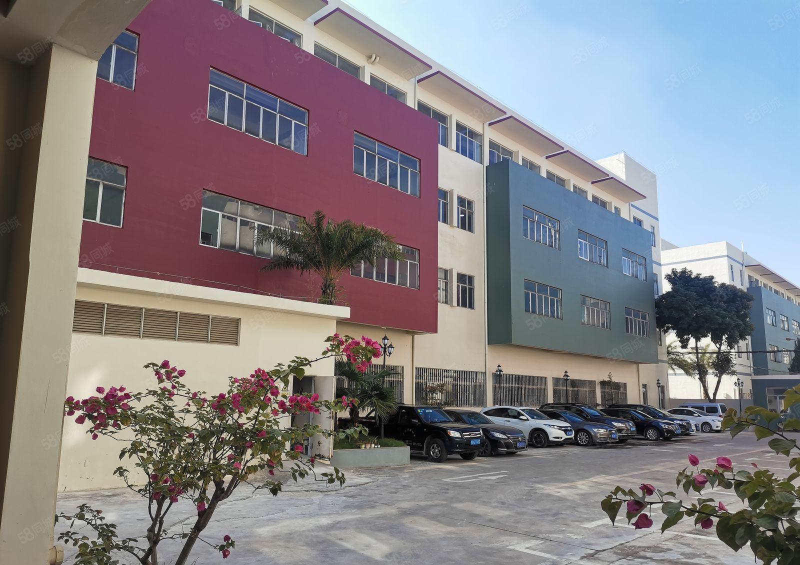 光明李松蓢多套原房东独院厂房1~4层6000平方出租！