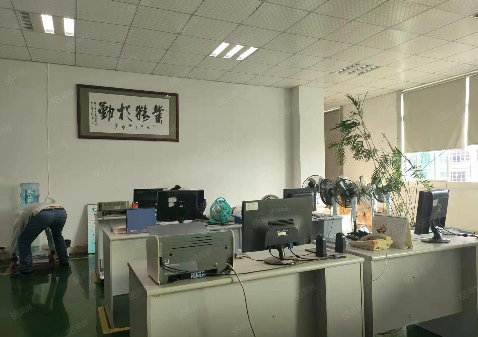 深圳市光明公明白花洞楼上1735平工业厂房出租。