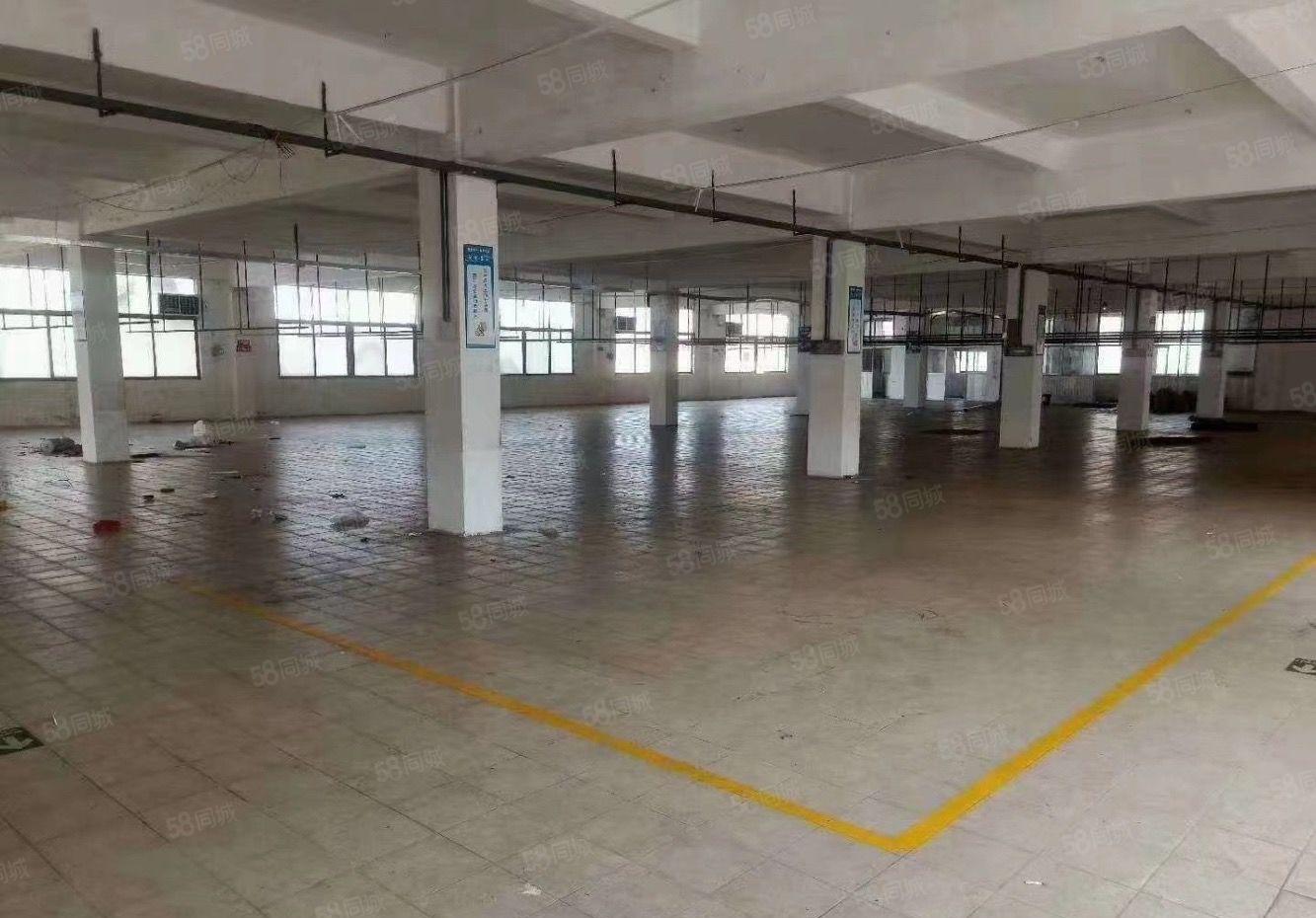 光明田寮楼上2000平方厂房招租原房东大型园区形象好