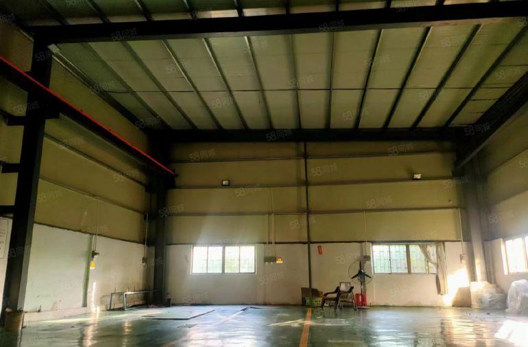 公明蒋石工业区12米高钢结构2900平厂房出租带装修
