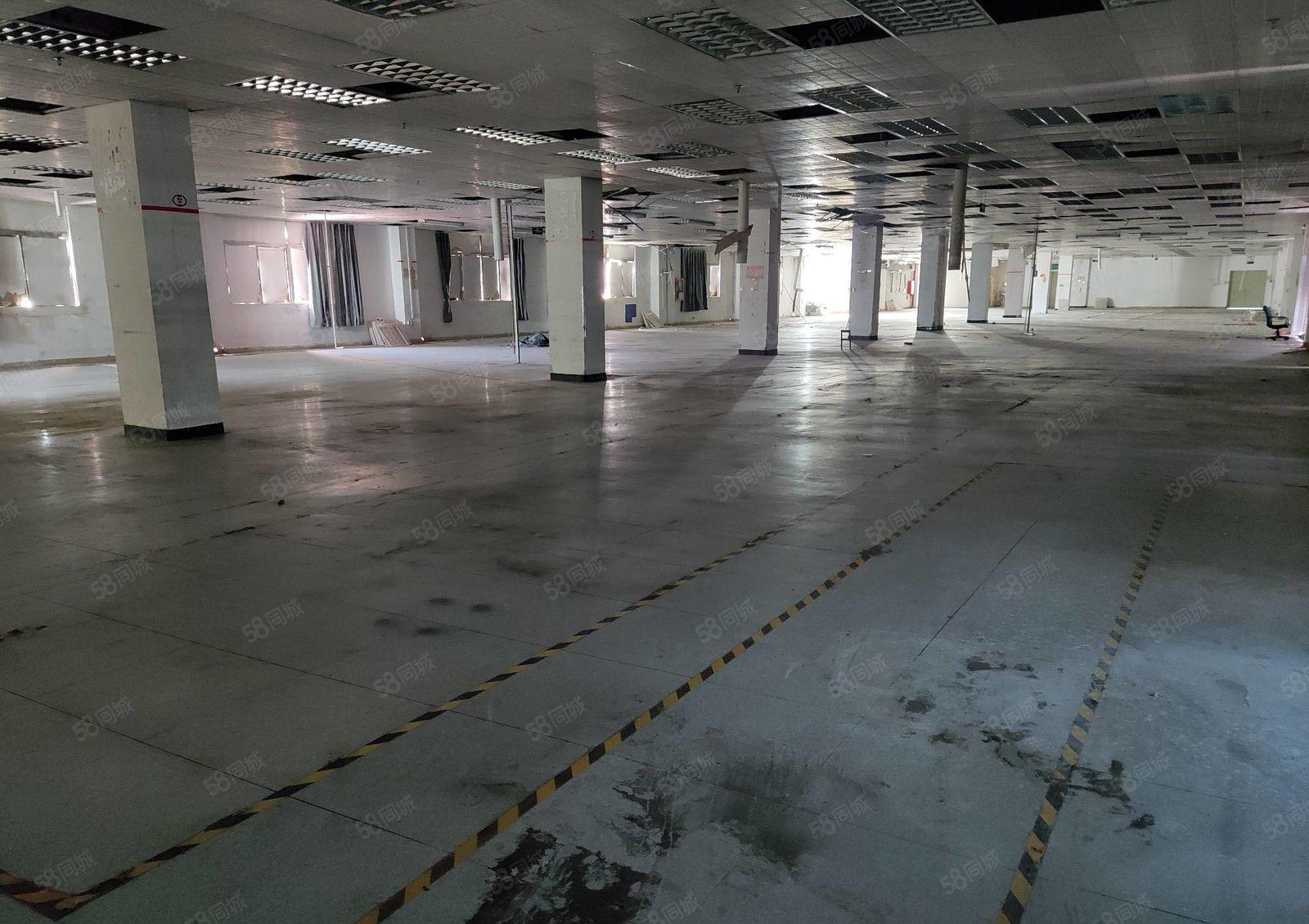 大小可分，光明龙大高速口原房东独院厂房10000平出租！