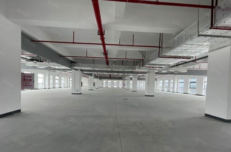 光明红本智能制造产业园开发商实际面积出租整层2300平可分租