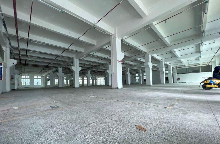 光明厂房出租带装修5000平厂房出租可分租工业园低价仓库出租