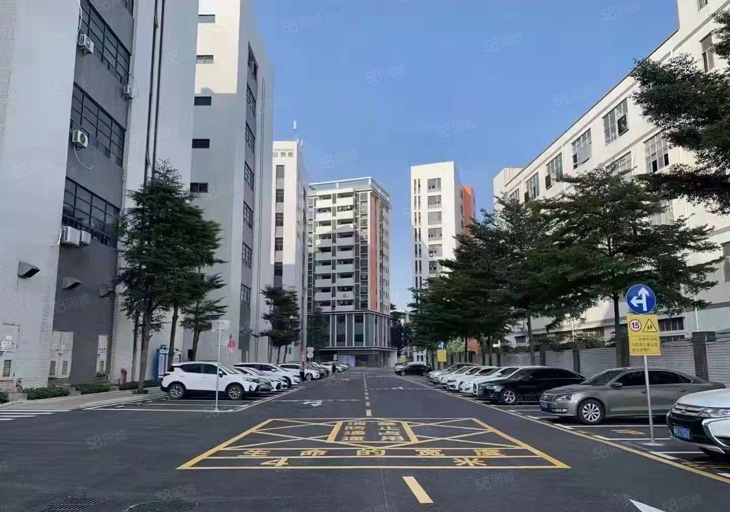 出租公明松柏路旁，1580，3280平，园区形象好，交通方便