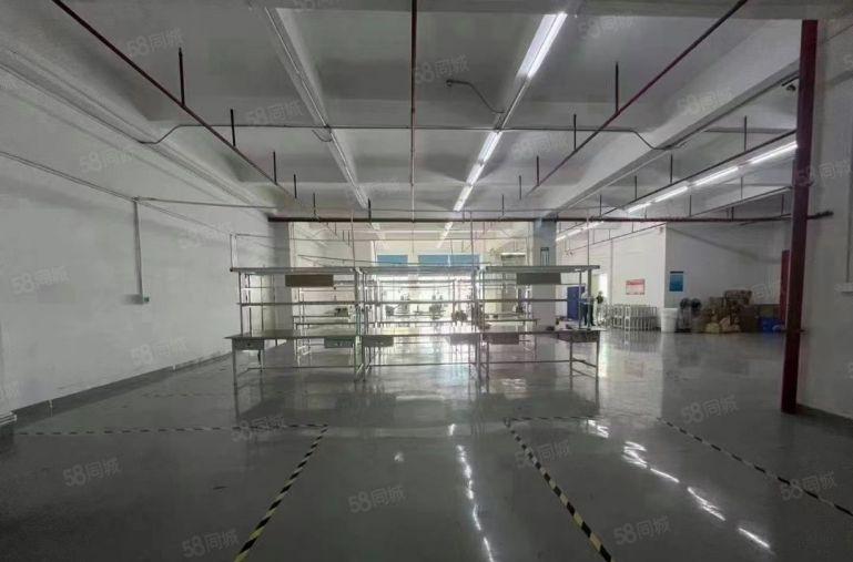 公明田寮新出小独院12楼共1800平，精装带办公室水电齐全