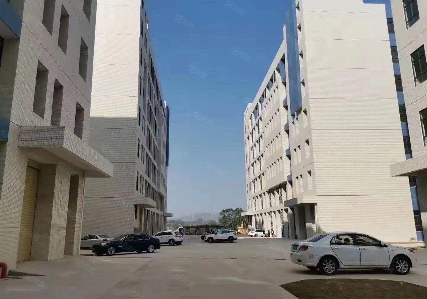 光明科学城附近全新红本厂房1680平方起租。