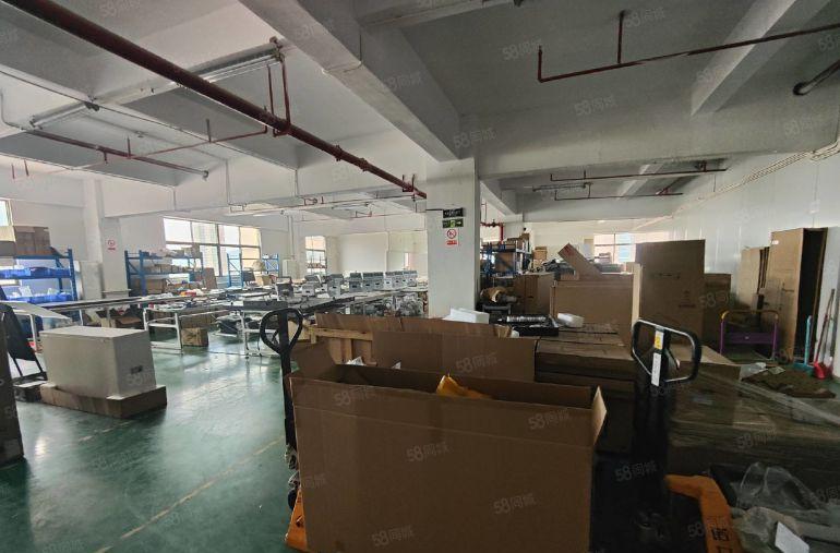 光明龙大高速出口新出楼上精装厂房800平，拎包入住