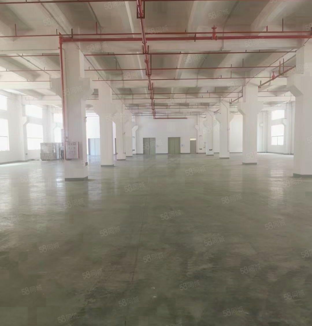 光明双高速出口红本独院9000平方出租