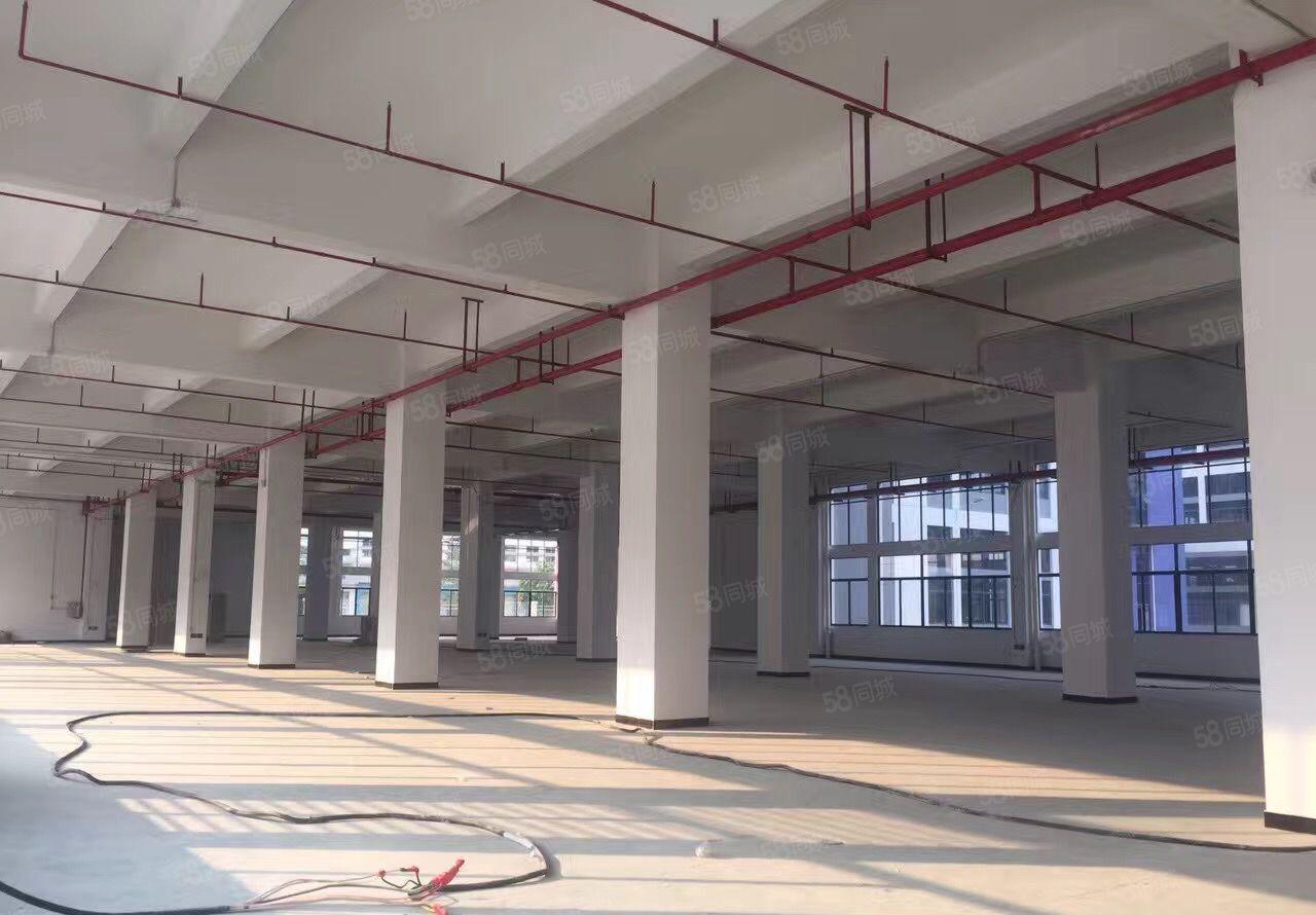 原房东红本厂房实际面积出租单层面积约9000整栋5万平米出租