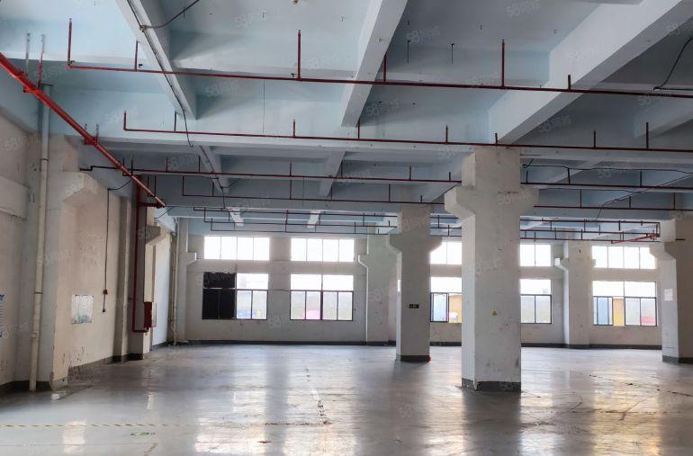 公明上村一楼3200平方厂房业主直租，首月租金减百分之10