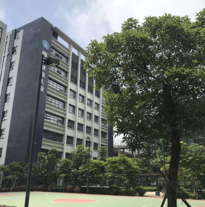 光明公明电商工业园厂房出租（3000平5吨货梯，带卸货平台）