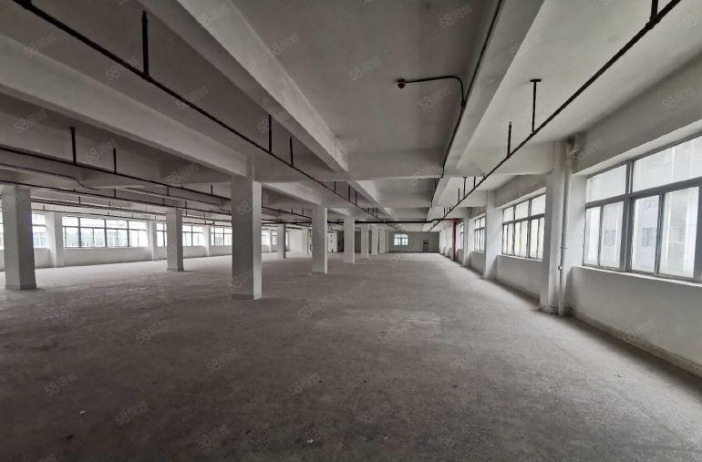 光明地铁口高新区红本国家补贴5000平厂房出租1000平可分