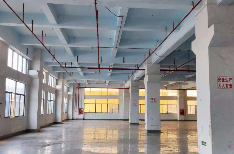 公明上村一楼3200平方厂房业主直租，首月租金减百分之10