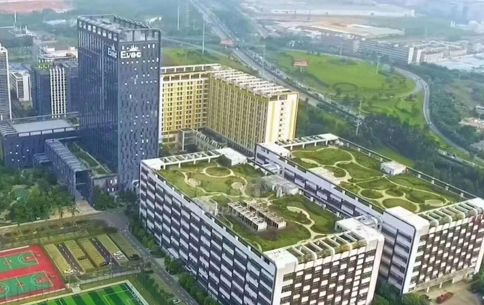 光明甲级写字楼90~1500隔好，办公研发，免租6个月