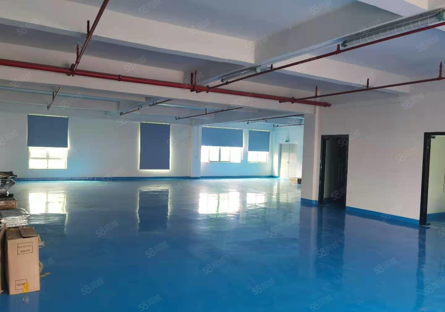 公明小厂房出租，450平，全新地平漆 ，适合电子，办公，电商