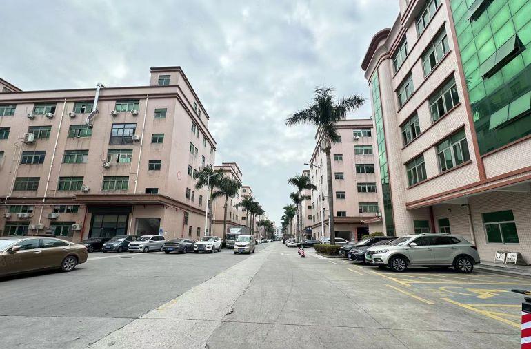 公明田寮松柏路边一楼600平，200平起分，租金24