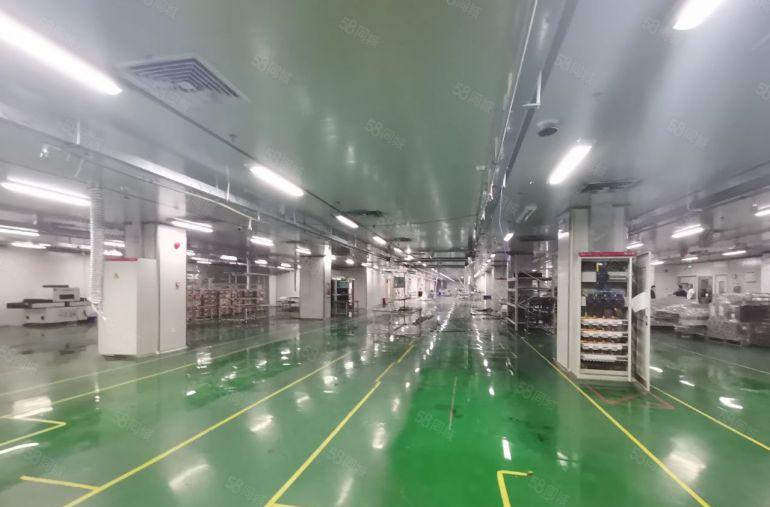 公明田寮大型园区楼上厂房出租1900平，精装带办公室无尘车间