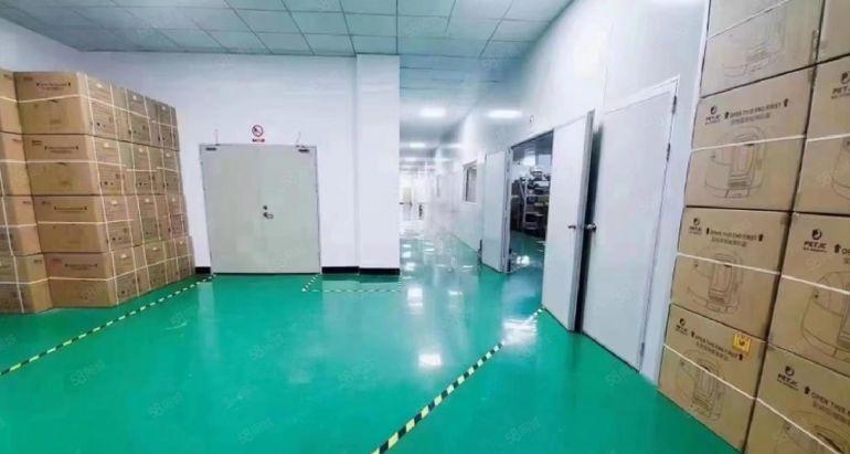 马田街道一手房东整层1500平豪华装修厂房出租 有卸货平台