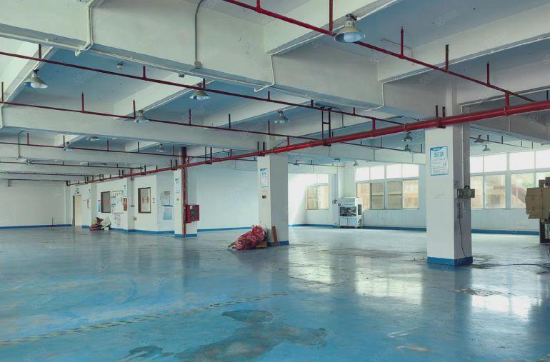 公明根玉路旁实际面积出租（900平重工业厂房，一整层格局好）