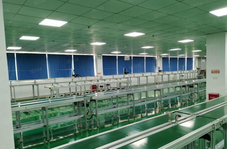 19起租光明无尘车间2000平方米厂房出租现成装修无需装让费