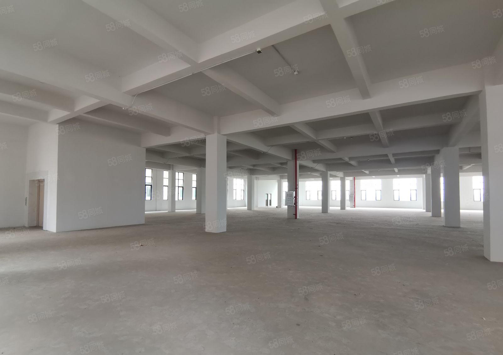 年前超长免租期生产办公研发高新补贴高速口易招工空地大停车便利